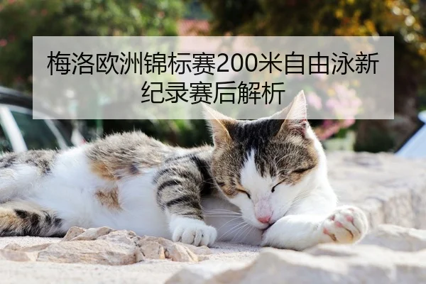 梅洛欧洲锦标赛200米自由泳新纪录赛后解析
